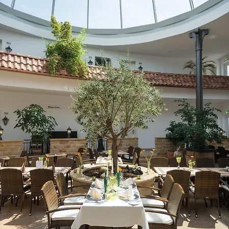 وايلد بارك فندق