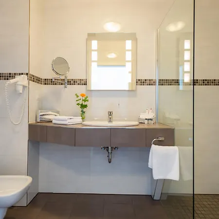 فندق وايلد بارك باد مارينبرغ